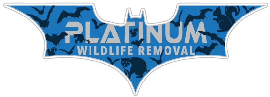 Sentinel Wildlife Removal LLC