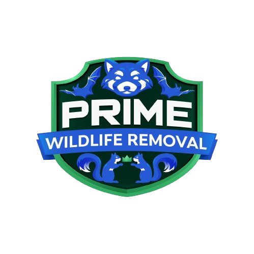 Sentinel Wildlife Removal LLC